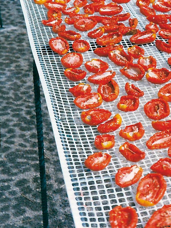 Sitá na sušenie ovocia a zeleniny: paradajky, marhule, figy, šampiňóny